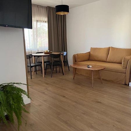Paola Cozy Studio Rovinj Bagian luar foto